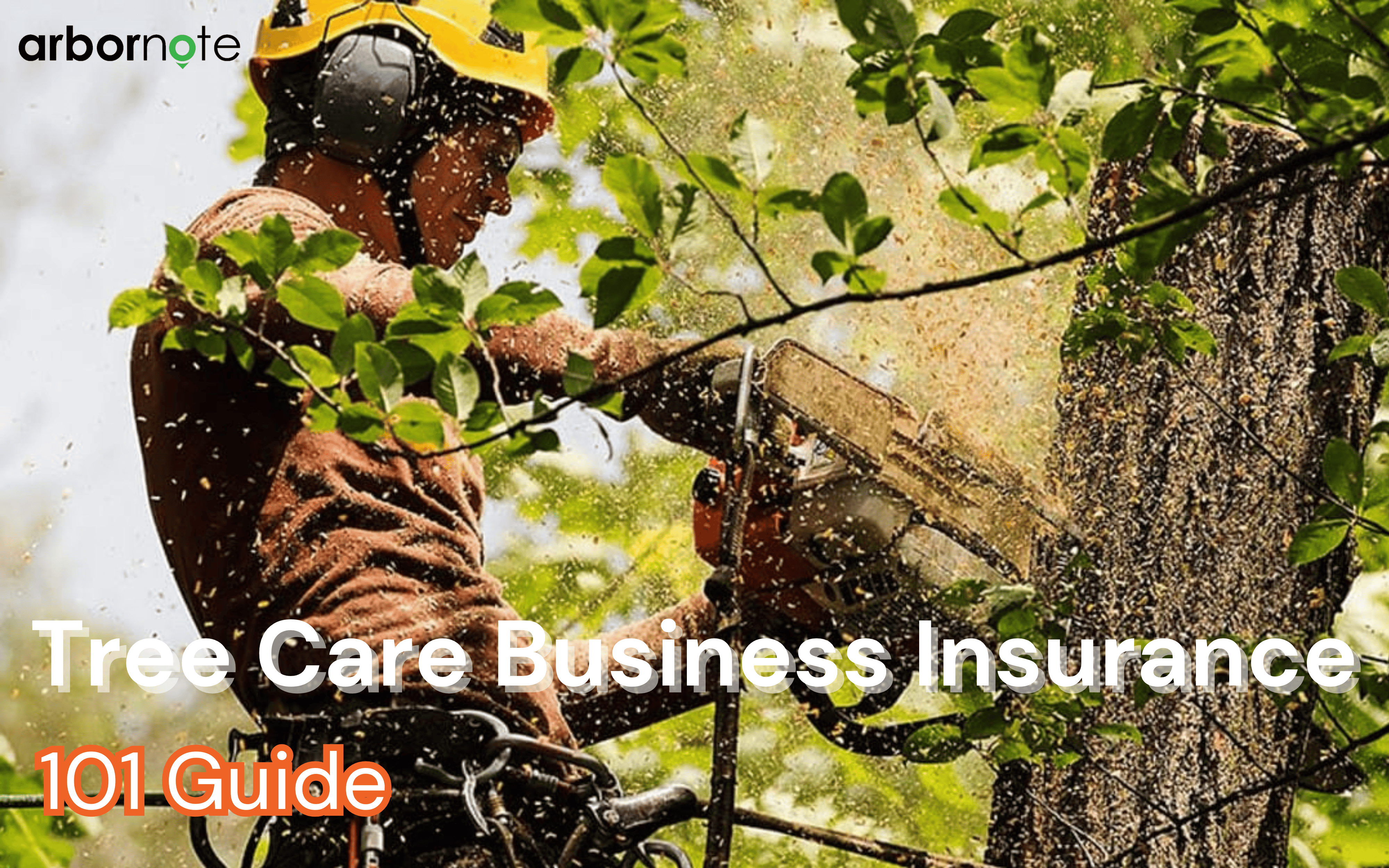 tree care insurance guide