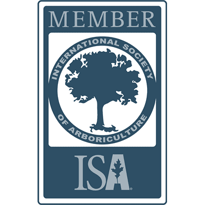 ISA Member