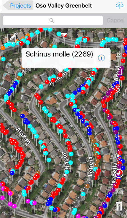 ArborNote Landscape Software Interface