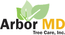 ArborMD