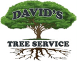 David's Tree Service