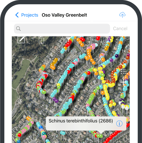 Commercial Tree Inventory Map